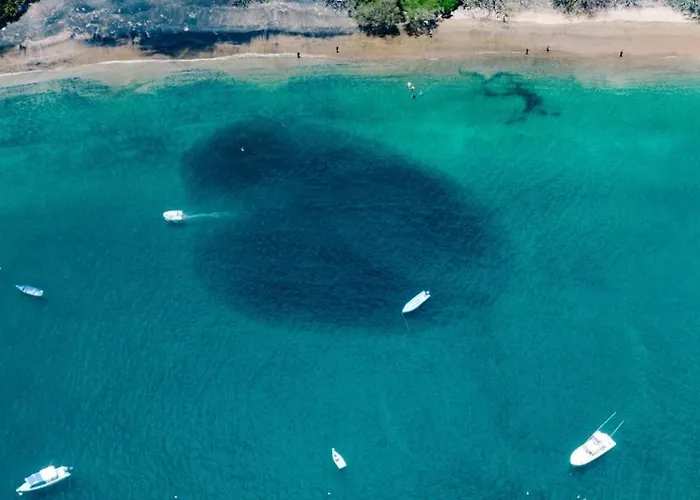 Glamping Tortuga Playa Ocotal