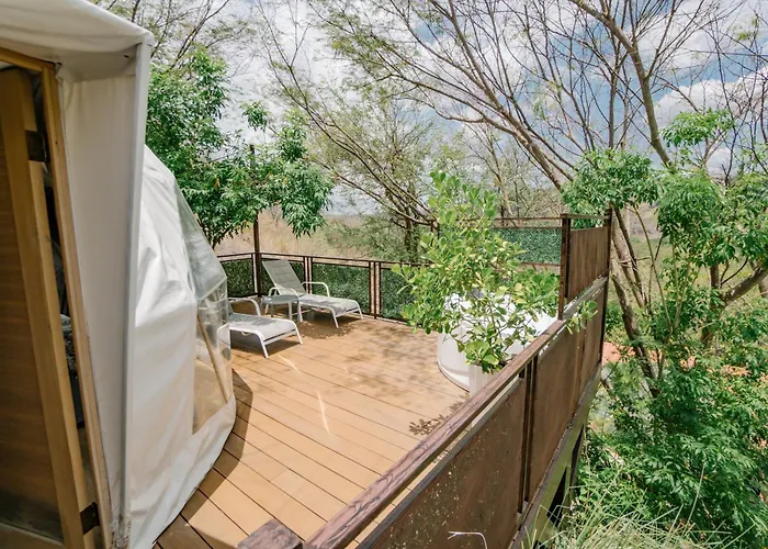 Campo de lujo Glamping Tortuga *